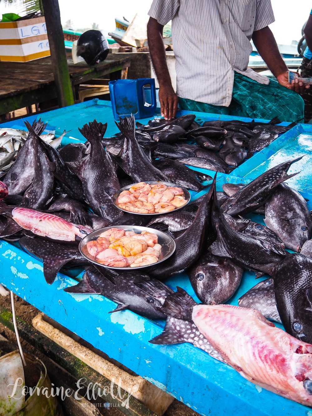 Galle Local Food Tour Why House Not Quite Nigella