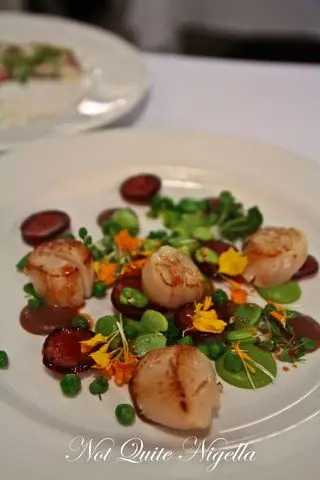 tartufo brisbane