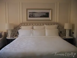 The Langham Sydney Pampered Pets Program
