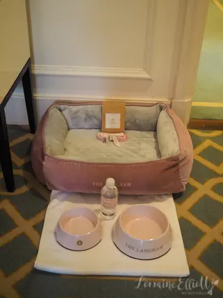 The Langham Sydney Pampered Pets Program