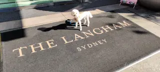 The Langham Sydney Pampered Pets Program