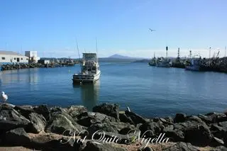 Tilba, Merimbula, Eden & Mallacoota: Four towns in one day!