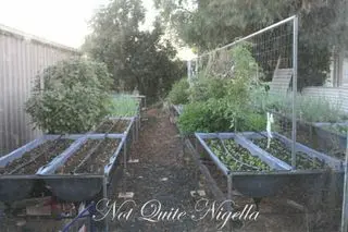 Tilba, Merimbula, Eden & Mallacoota: Four towns in one day!