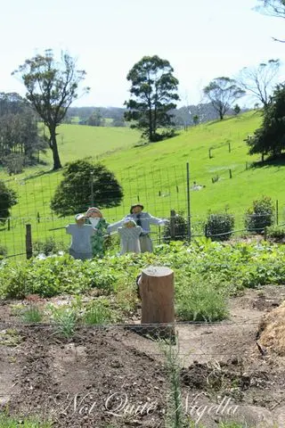 Tilba, Merimbula, Eden & Mallacoota: Four towns in one day!