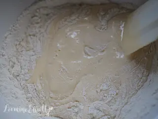 Tiramisu Yule Log