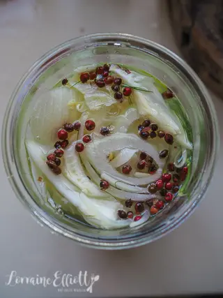 Top 5 Fennel Recipes