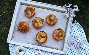 Top 5 Pies for a Picnic