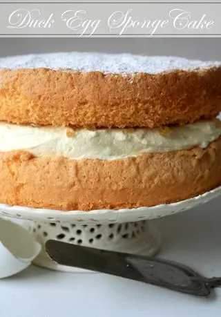 Top 5 Sponge Cakes