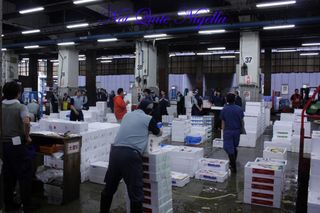 Tsukiji fish markets