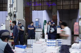 Tsukiji fish markets