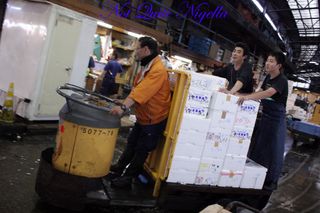 Tsukiji fish markets