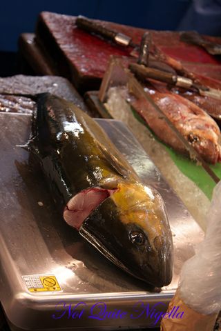 Tsukiji fish markets