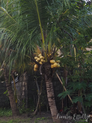 Balinese Village Life at Ungasan