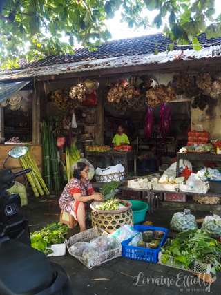 Balinese Village Life at Ungasan
