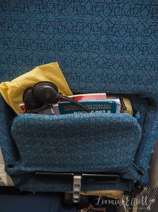 Vietnam Airlines Premium Economy
