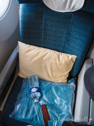 Vietnam Airlines Premium Economy