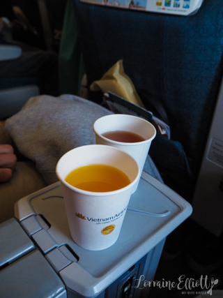 Vietnam Airlines Premium Economy