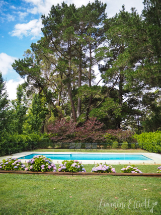 Cuttaway Cottage Woodlands, Southern Highlands Dog Friendly