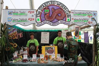 Worm Sushi, Huhu Grubs & Grasshoppers - Hokitika Wild Foods Festival, New Zealand