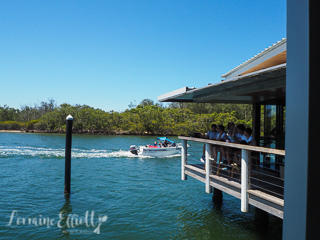 Woy Woy Fishermen's Wharf